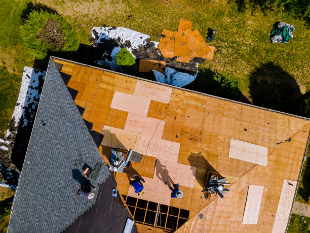 Best Storm Damage Roof Repair  in Landover, MD