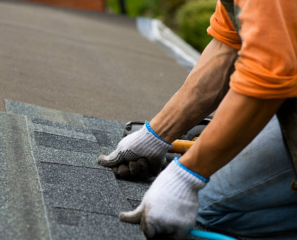Best Local Roofing Companies  in Landover, MD